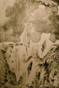 Feathers by Cathy Mills Feathers