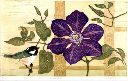Clematis - woodcut Clematis - woodcut