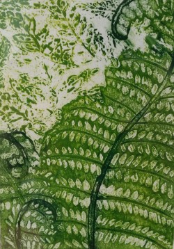 Fern - Collagraph Fern-Collagraph