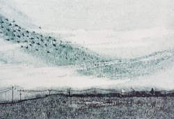 Murmuration - collagraph Murmuration - collagraph