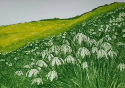 Snowdrop Hill - collagraph Snowdrop Hill - collagraph