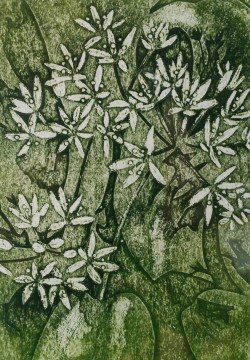 Wild Garlic - collagraph Wild Garlic - collagraph