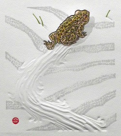 Natterjack Natterjack