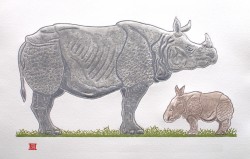 One-horned Rhino and Calf One-horned Rhino and Calf
