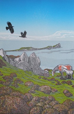 View of Worms Head from Rhossili Down View of Worms Head