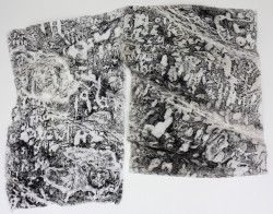 Beech Inscriptions Beech inscriptions