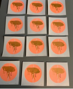 The Elite - Screen print, glitter letterpress The Elite